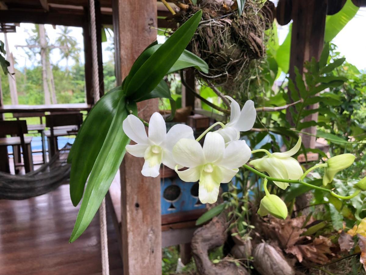 Villa Diva Star Ko Yao Noi Exterior photo